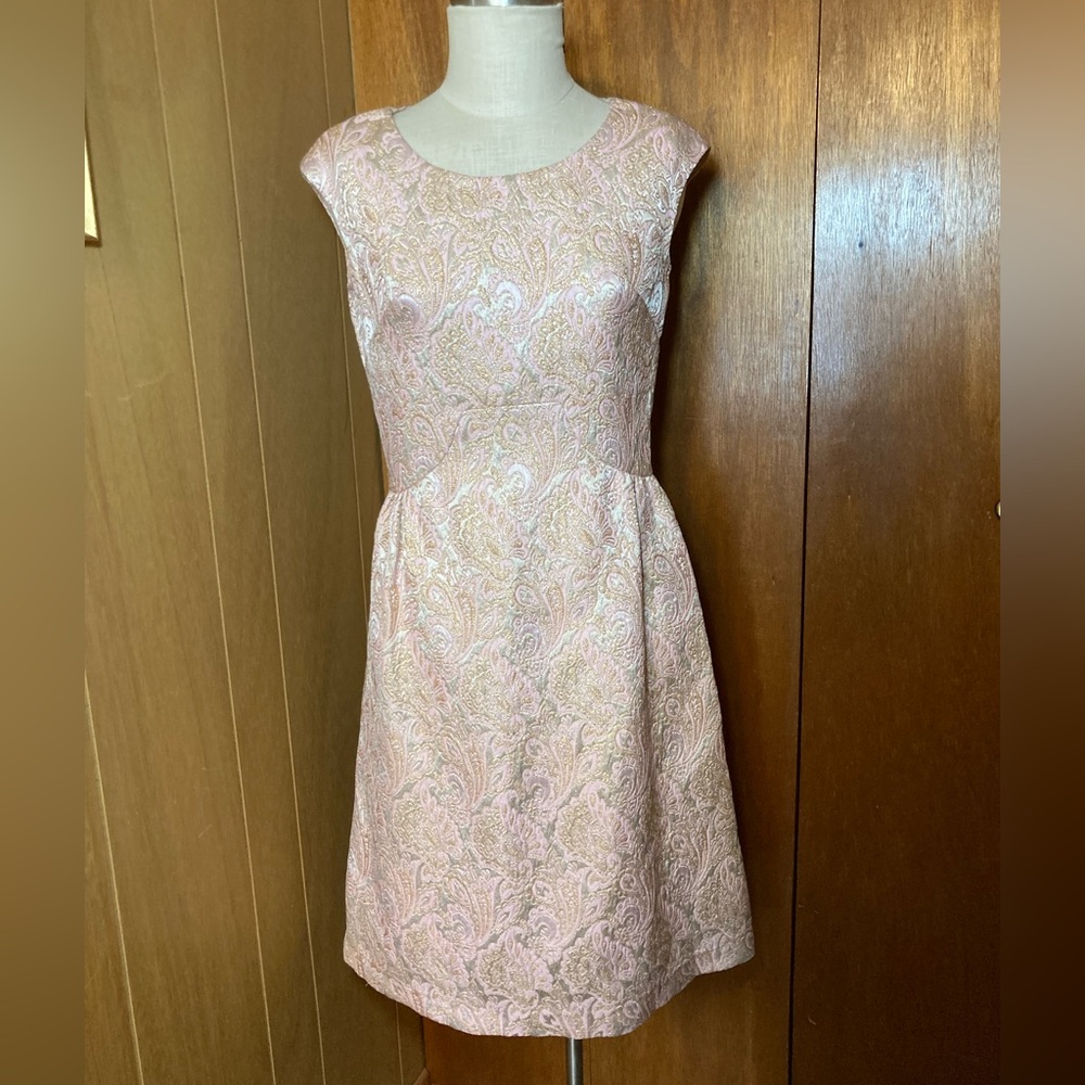 Stunning Vintage Pink and Gold Paisley Brocade Dress